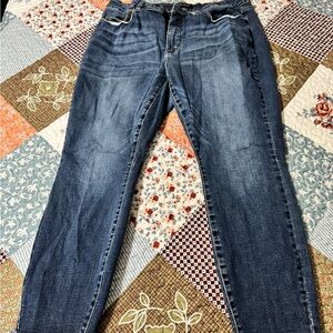 Judy Blue Dark Wash Skinny Jeans